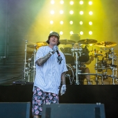 Limp Bizkit