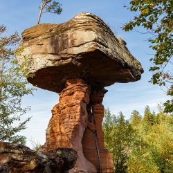 Natur
