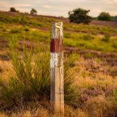Mehlinger Heide