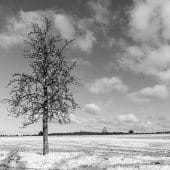Winter in Schopp