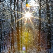 Wintersonne