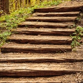 Treppe im Karlstal
