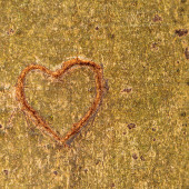 Herz im Baum