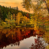 Weiher im Sonnenaufgang